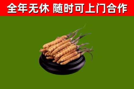 梅州市烟酒回收冬虫夏草.jpg
